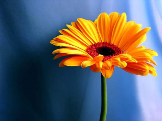 427032 (a): :1600x1200